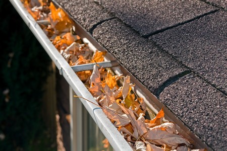 Importance of routine professional gutter cleaning