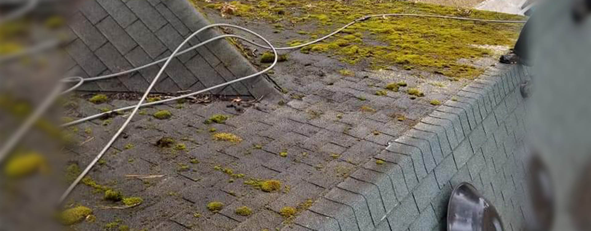 roof cleaning company